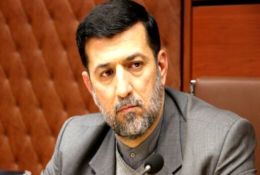 به زودی با مازاد مرغ در بازار مواجه می‌شویم/دستور رئیس جمهور برای اصلاح قیمت گندم