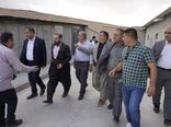 بازدید رییس کمیسیون کشاورزی مجلس از طرح‌های تولیدی و زیرساختی پیرانشهر
