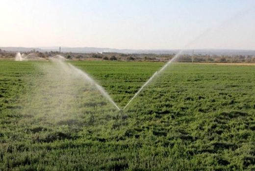 تجهیز ۳۵۰ هکتار از اراضی زراعی جونقان به سامانه های نوین آبیاری