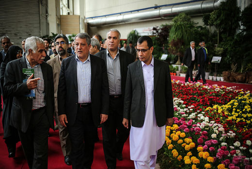 نمایشگاه‌های محلی و منطقه‌ای گل در پایتخت برگزار شود