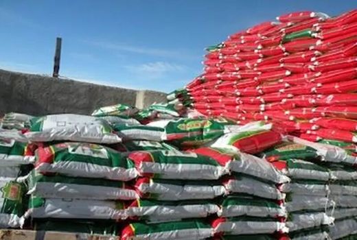 توزیع ۲هزار و ۷۸۰تن انواع کودهای کشاورزی در بوشهر