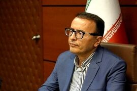ذخایر گوشت و مرغ کشور دست‌نخورده است /  برنامه ایمن‌سازی سراسری ۶۵ تا ۷۰ میلیون رأس دام در تابستان 