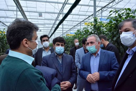 راه‌اندازی پروژه بزرگ کشت و صنعت با محوریت باغبانی در منطقه یکانات شهرستان مرند 