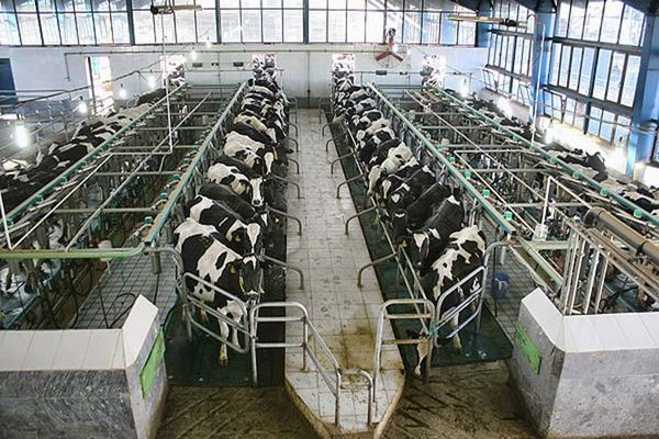 تسهیلات اشتغال، روستاییان را ماندگار می‌کند