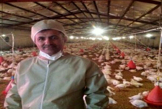 خسارت ۴۰۰میلیارد ریالی کرونا به صنعت طیور ایلام