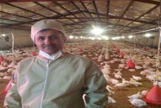 خسارت ۴۰۰میلیارد ریالی کرونا به صنعت طیور ایلام