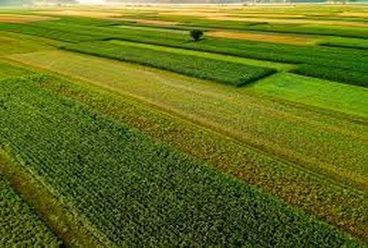    سبز بیندیش، پایدار بکار