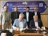 نیشکر در مسیر بازآفرینی علمی/ تات و بخش خصوصی هم‌پیمان شدند