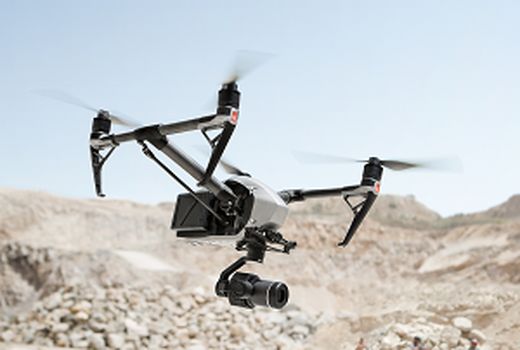 آفت سوسک حنایی نخیلات با پهباد شناسایی می‌شود