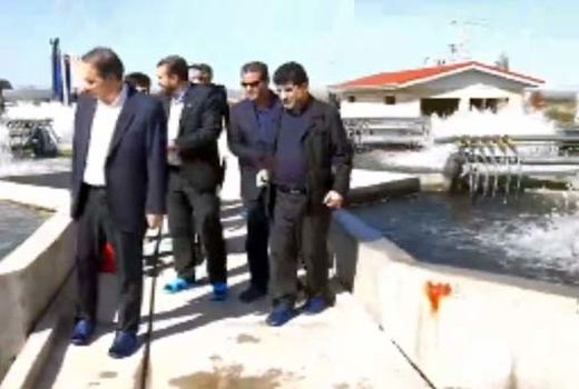 تلاش برای برقراری زنجیره تولید در مجتمع کشت و صنعت خداآفرین