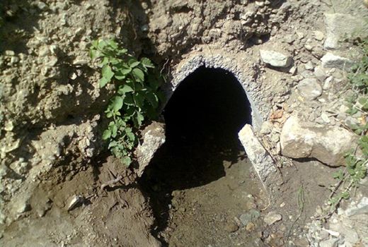 خشکیدگی قنوات در سفید دشت بروجن 