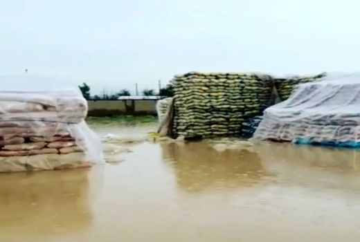 فیلم منتشر شده از برنج‌های گمرک زاهدان ارتباطی با شرکت بازرگانی دولتی ایران ندارد