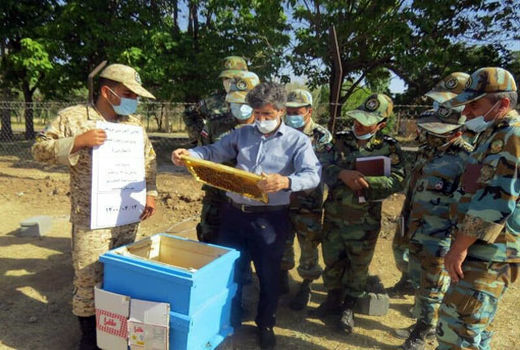 برگزاری کلاسهای آموزشی ترویجی مهارتی پرورش زنبورعسل برای 430 نفر -روز در عجب شیر