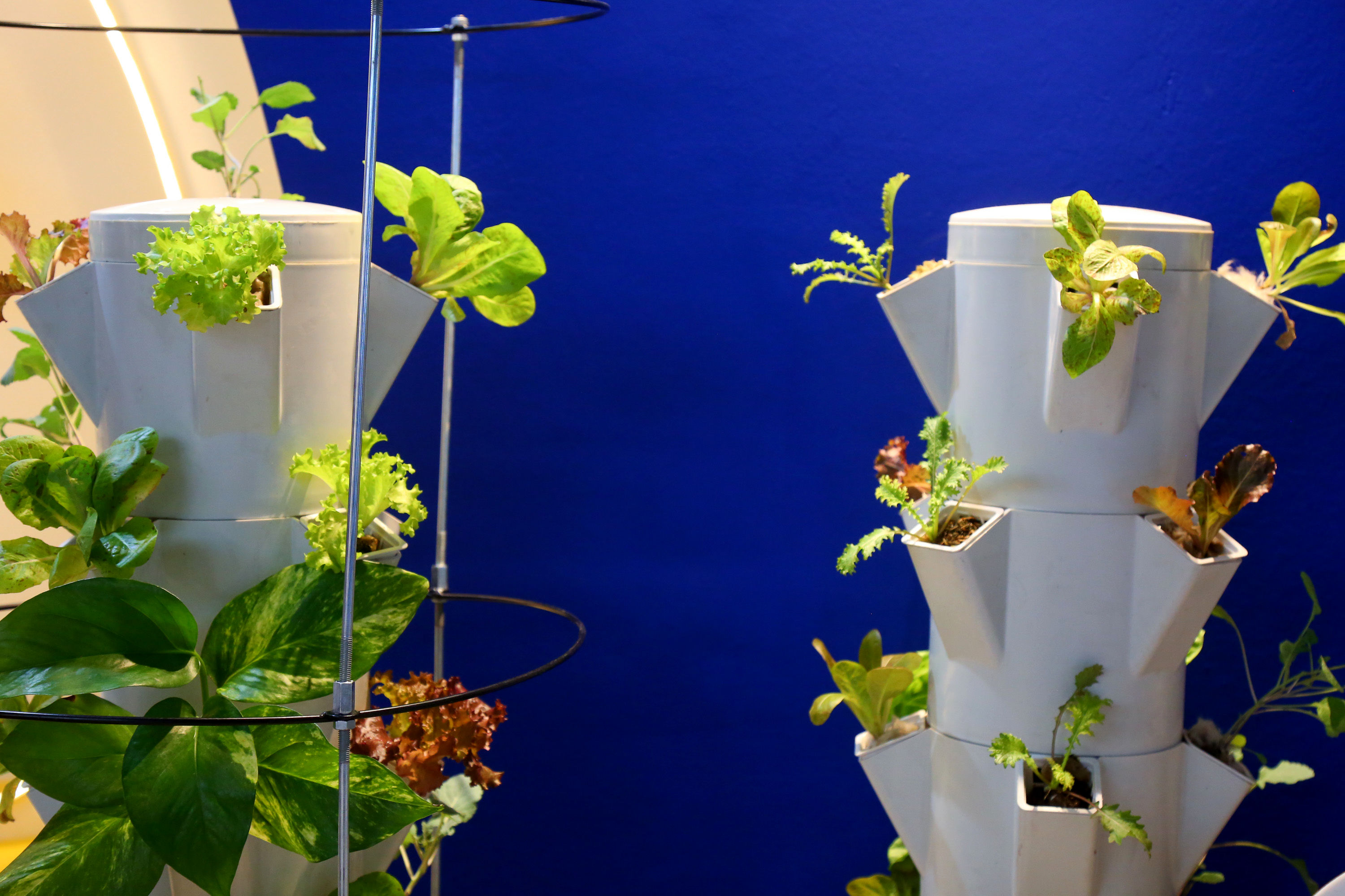  دهمین نمایشگاه بین المللی جامع کشاورزی ایران 