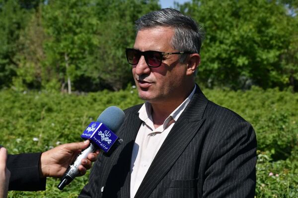 گل محمدی؛ فرصت طلایی اصلاح الگوی کشت در آذربایجان شرقی