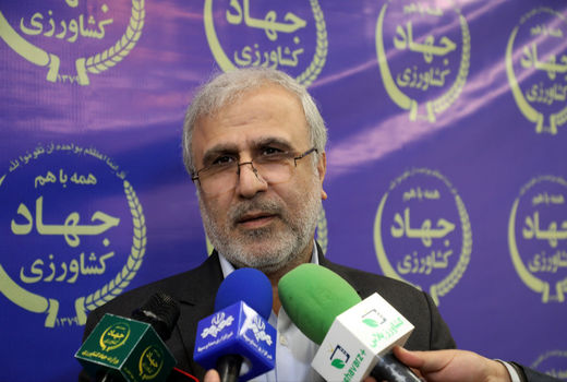 اختصاص تسهیلات 10 درصدی به اتحادیه ها برای خرید مازاد مرغ در کشور