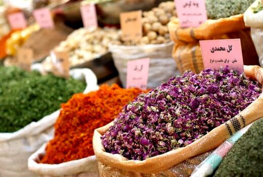 توسعه گل محمدی در کویر تشنه قم