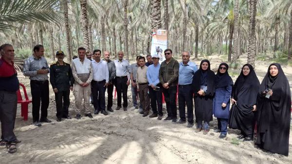 ابلاغ برنامه آموزشی ترویجی ویژه نخلداران استان بوشهر