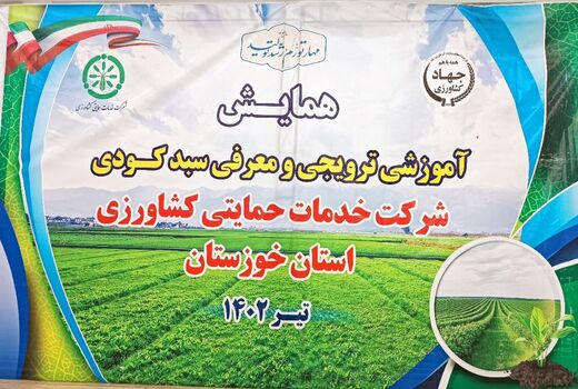 معرفی کودهای غیر یارانه‌ای به کشاورزان خوزستانی