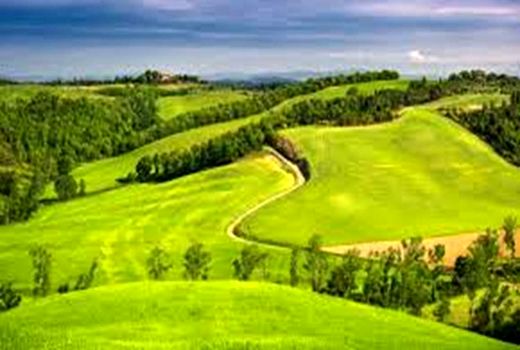 جنگل‌خواری در لباس موقوفه! منابع طبیعی به تبلیغات دروغین  واکنش قاطع نشان داد