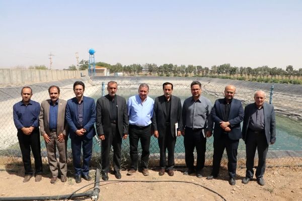 بازدید معاون وزیر جهاد کشاورزی از مزرعه نوآوری کشاورزی هوشمند در آبیک 