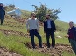 توسعه کشت سماق در شهرستان هوراند شتاب می‌گیرد