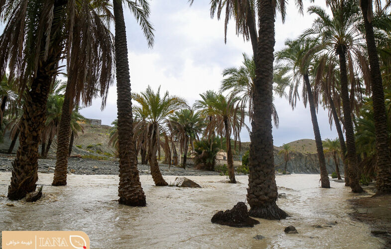 بارش باران و سیراب شدن باغ ها و مزارع در سردشت هرمزگان