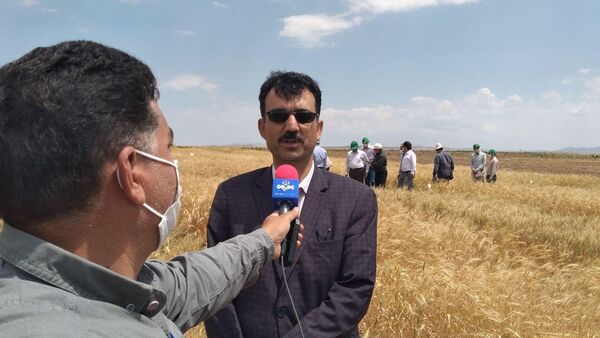 برنامه‌ریزی برای اختصاص  ۱۰ درصد زمین‌های دیم به کشت علوفه در تناوب با غلات 