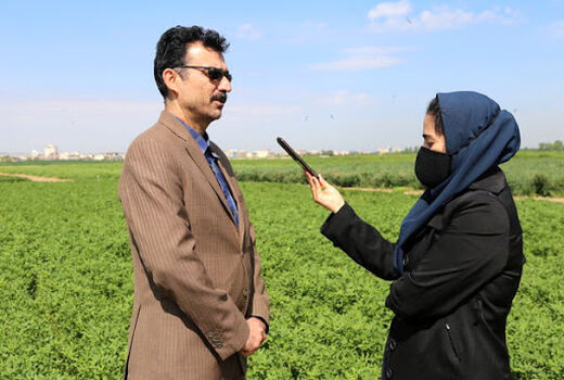 تولید سالیانه 22 میلیون تن محصولات علوفه‌ای در کشور