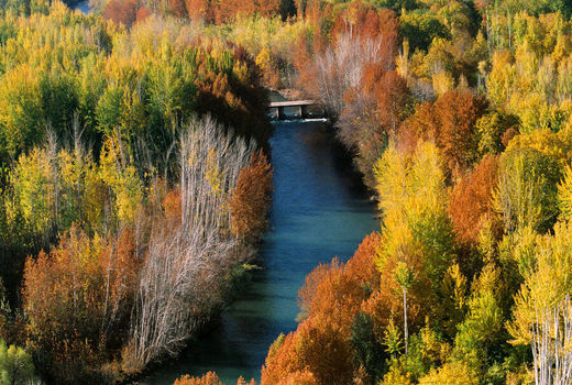 نقش جادوی رنگ‌ها در صنعت گردشگری کشاورزی سامان