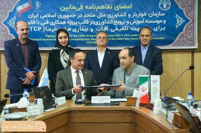 تفاهم‌نامه همکاری برای مدیریت تلفیقی آفات و بیماری‌های خرما امضا شد