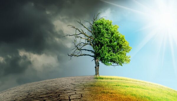 کمیته تغییر اقلیم وزارت جهاد کشاورزی به زودی راه اندازی می‌شود