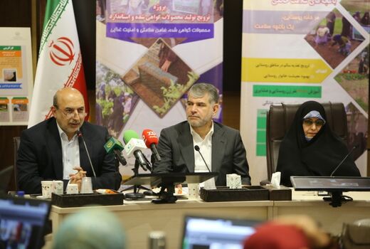 توانمندسازی و مهارت آموزی دختران و زنان روستایی اولویت سازمان تات