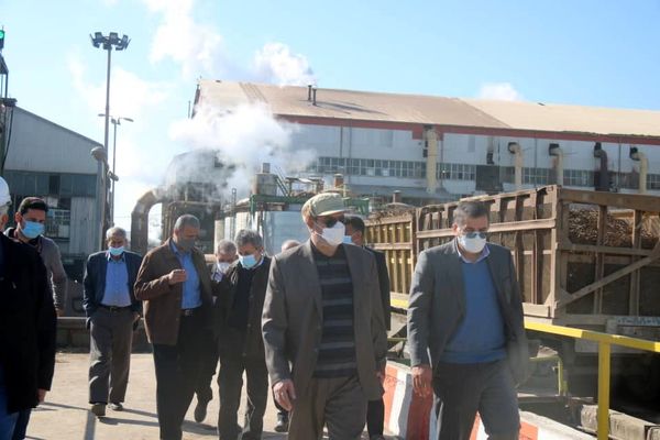 تامین شکر با توسعه شرکت‌های کشت و صنعت خوزستان