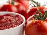  صادرات 1150 تن رب گوجه فرنگی به کشور روسیه