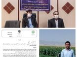 تقدیر از کشاورز نمونه ملی استان ایلام