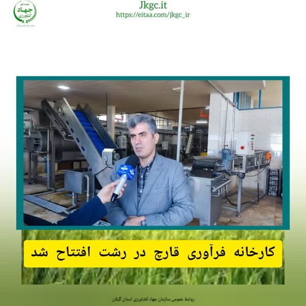 کارخانه فرآوری قارچ رشت افتتاح شد