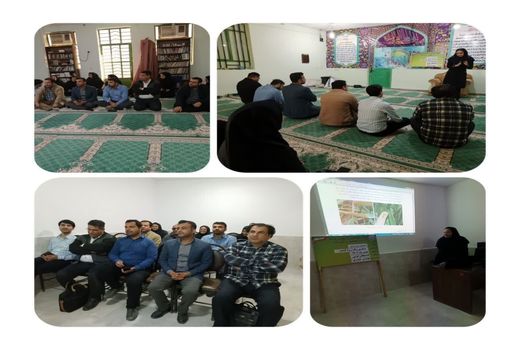 آشنایی و مقابله با آفات و بیماری‌های گندم در مزارع هندیجان