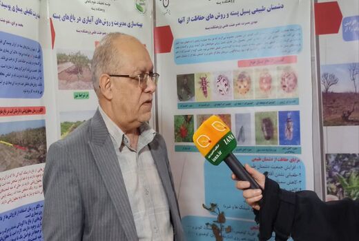 بیش از ۵۰۰ فعالیت تحقیقاتی مکتوب در حوزه پسته ثبت شد
