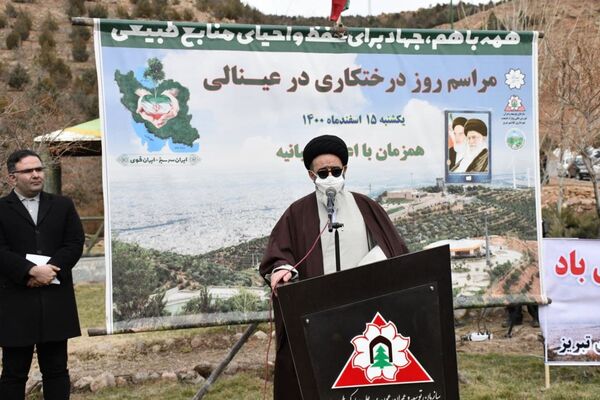 برخورد قاطع با متخلفان و عاملین قطع درختان در استان