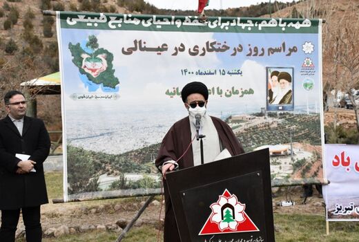 برخورد قاطع با متخلفان و عاملین قطع درختان در استان