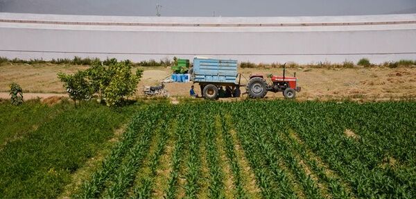 توسعه گردشگری کشاورزی در تیران و کرون