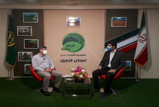 اهمیت کشت دانه‌های روغنی کلزا موضوع برنامه استودیو کشاورز استان قزوین