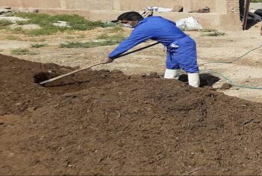 زنان روستایی مرودشت در تولید کمپوست توانمند می‌شوند