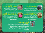 اینفوگرافی | قزوین قطب نوظهور گیاهان دارویی