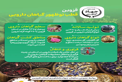 اینفوگرافی | قزوین قطب نوظهور گیاهان دارویی