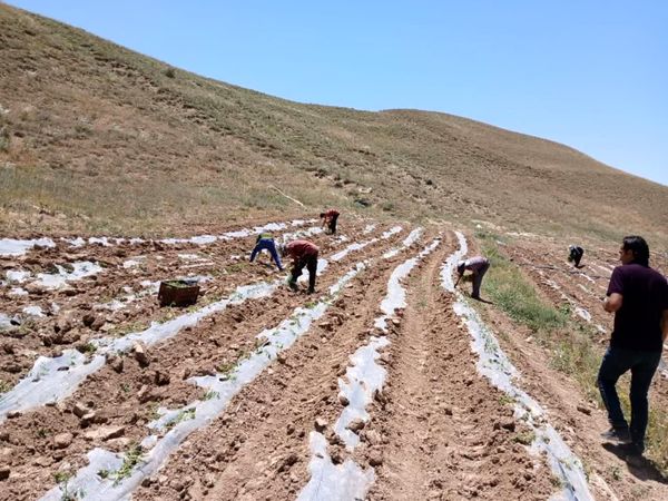 حفاظت از خاک، خط قرمز سازمان جهاد کشاورزی آذربایجان شرقی