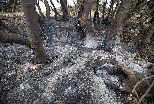 «چلاو» مازندران و «هزارپیچ» گرگان نجات پیدا کردند