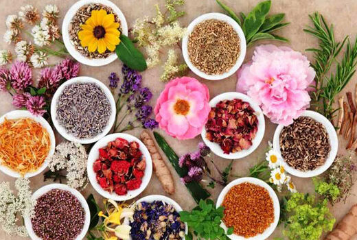 اجرایی شدن اولین قرارداد کشت قراردادی گیاهان دارویی توسط اتحادیه ملی تعاونی‌های کشاورزی گیاهان دارویی ایران