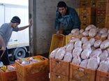ذخایر مرغ منجمد تکمیل است/ آمادگی توزیع بر اساس نیاز استان‌ها